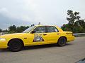 Look, a taxi even joined the caravan when it saw all the yellow